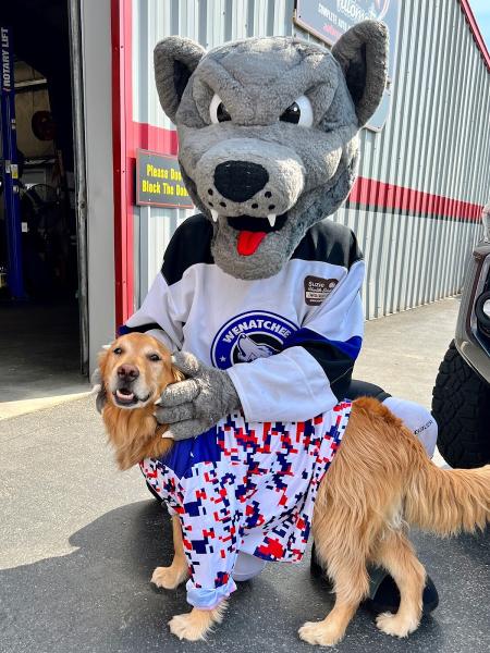 High Tech Automotive