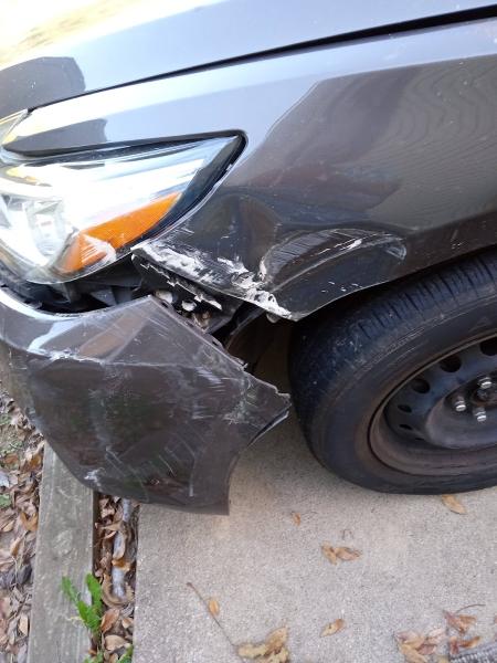 Royce's Paint & Body Shop