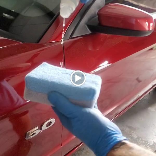 Tampa Bay Auto Detailing