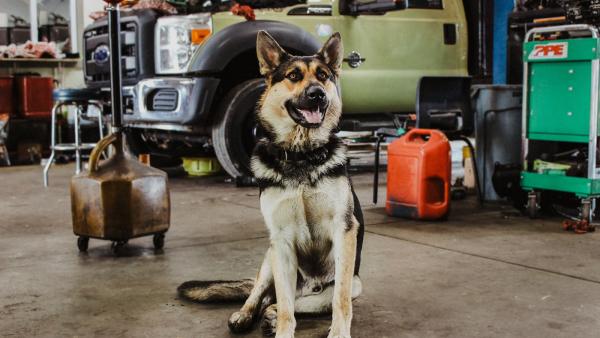 Brown's Service Center