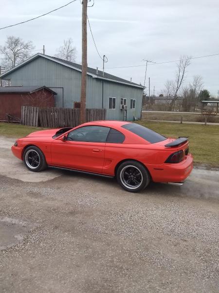 Pro Auto Body & Paint