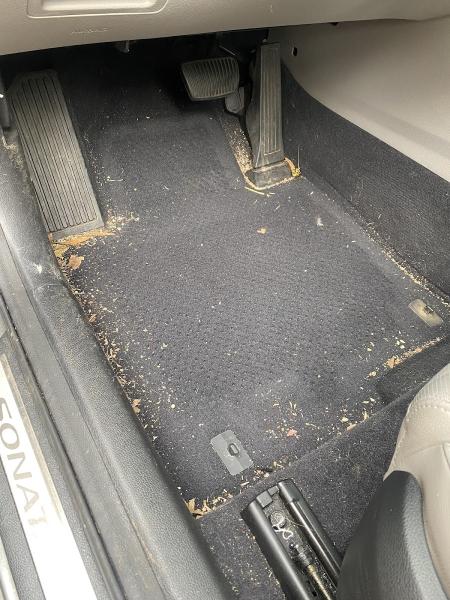 Sanders Auto Detailing LLC