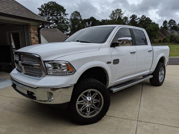 Bailey Tint