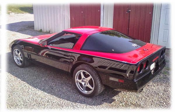 Shankys Ride Revive
