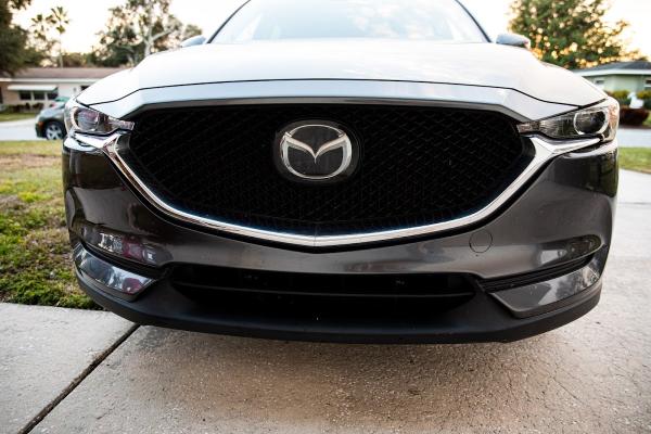 Bayou Tinting & Detailing