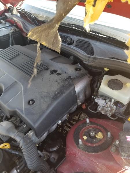 Jiffy Auto Glass