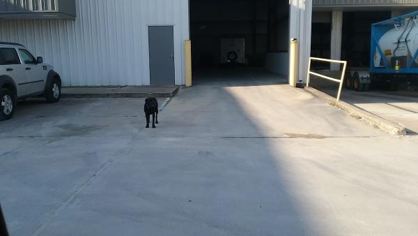 Cannonball Trucking Inc