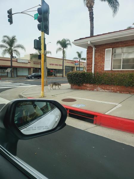 Battery World Center