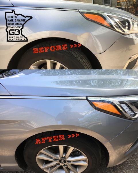 Gray Duck Dent Repair