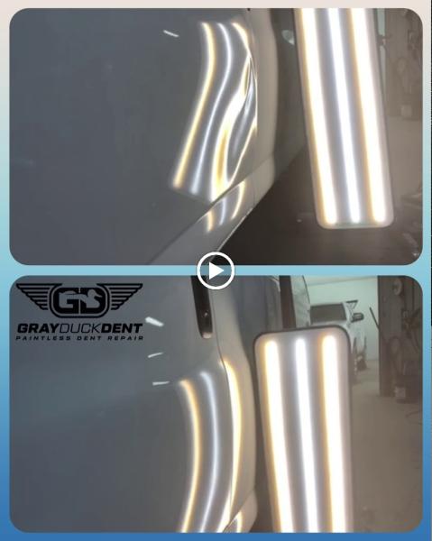 Gray Duck Dent Repair