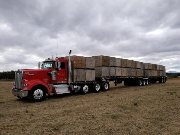 Boshart Trucking