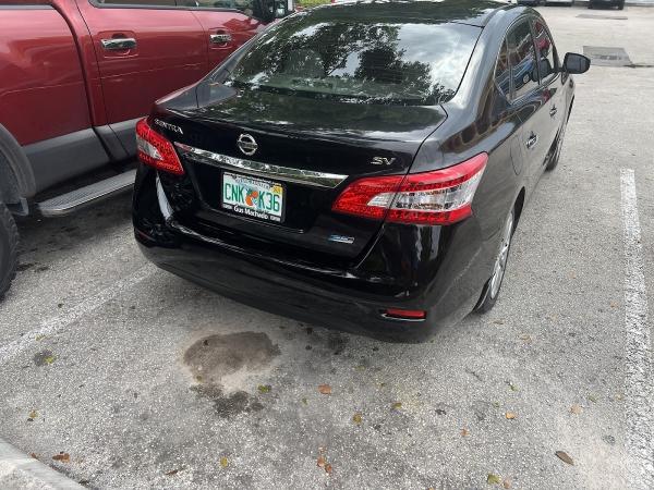 Professional Paint and Body Shop