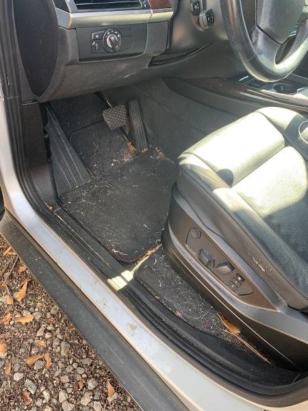 Bless This Mess Auto Detailing