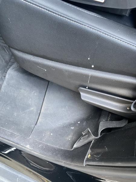 Cesar's Auto Detailing