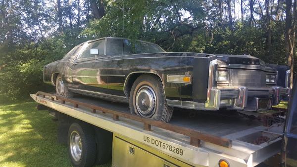 Professional Auto Repair