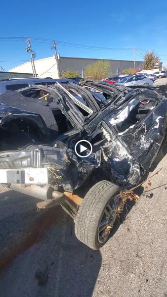 Dave's Roe Body Shop