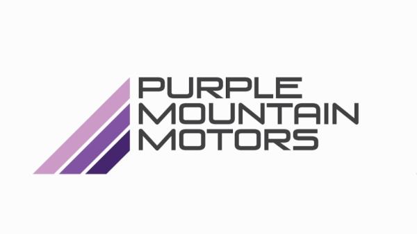 Purple Mountain Motors