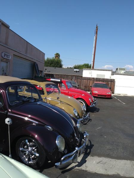 Bill & Steve's Foreign Auto