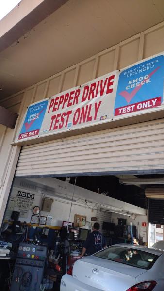 Pepper Drive Test Only