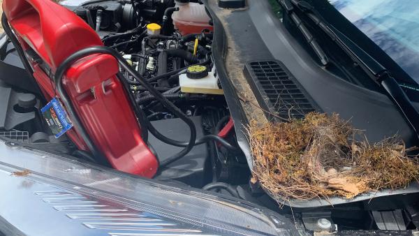 Shay Knowledge Emergency Road Service