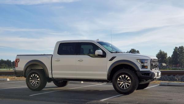 Elite Window Tinting