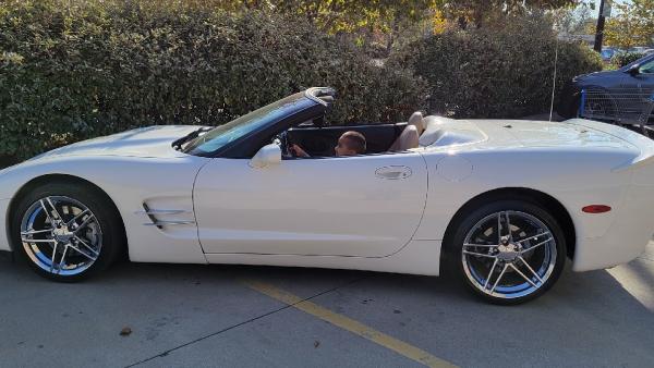 Roland's Window Tinting