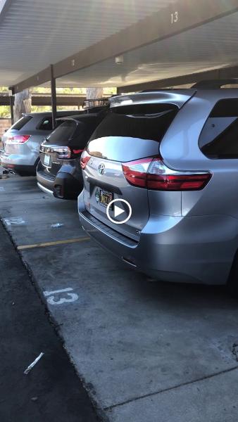 Palomeras Mobile Auto Car Detailing & Ceramic Coating's