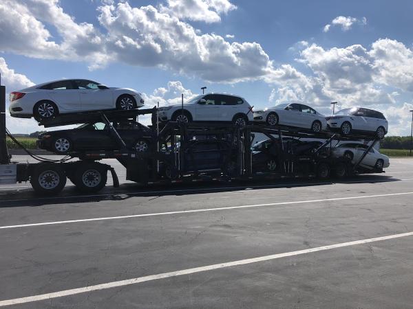 Stepone Transportation