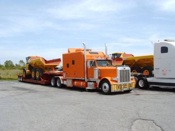 Hightailin Mustang Transportation