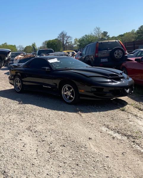 Big Cat Auto Salvage