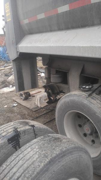Mobile Truck Trailer Repair and Tires