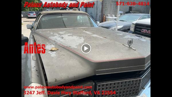 Palace Autobody and Paint