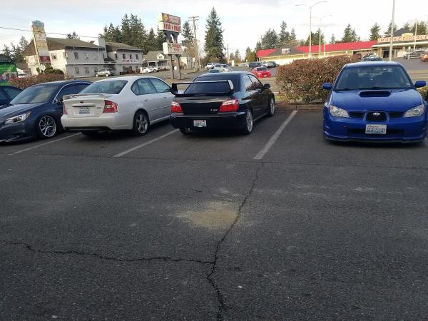 Pacific Import Auto
