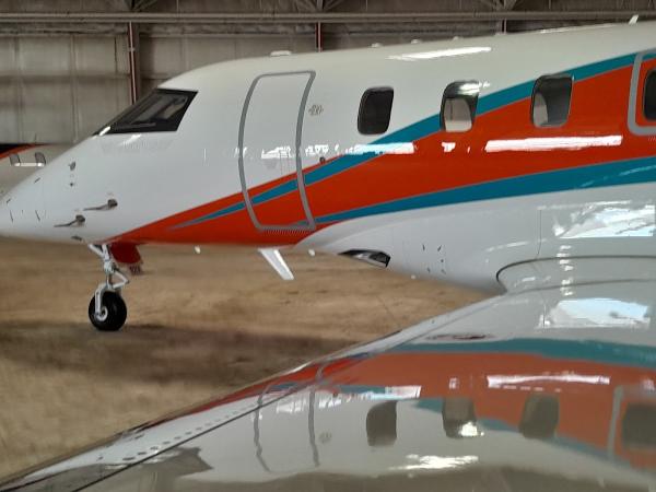 Luxury Mobile Detail