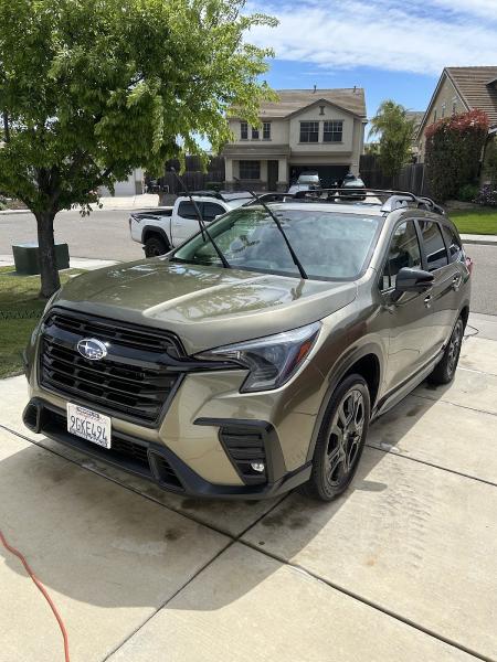 Beyonddetailing