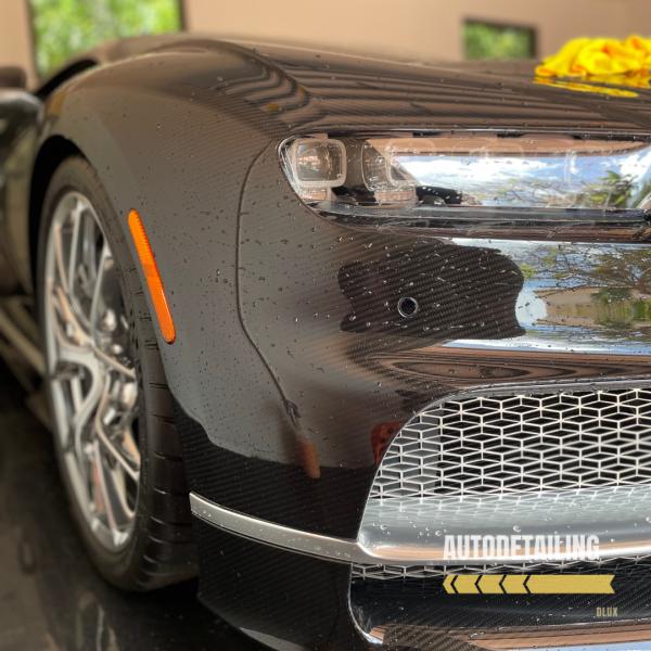Dlux Autodetailing Canvas Condo