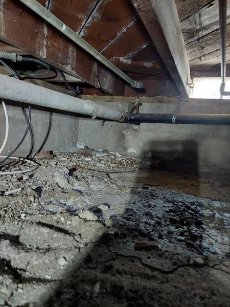 Peppertree Automotive