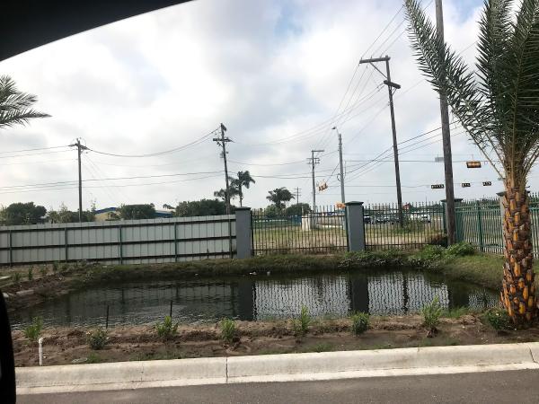 Autofletes Internacionales Halcon