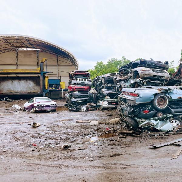 Renaissance Auto Recovery