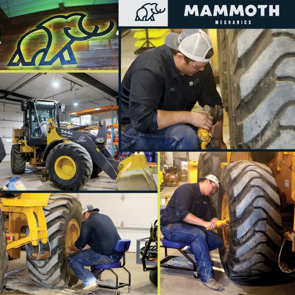 Mammoth Mechanics