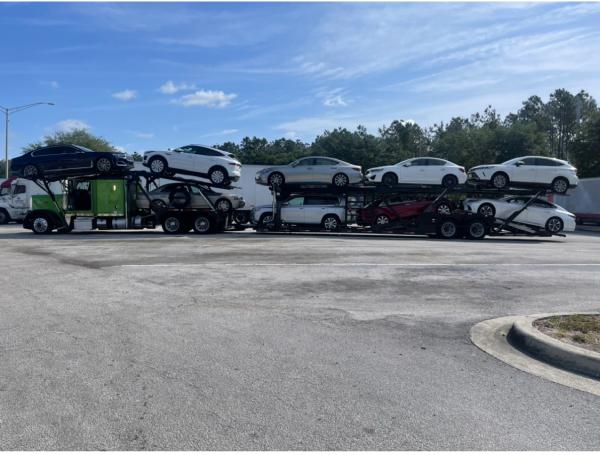Trans Motor Group LLC