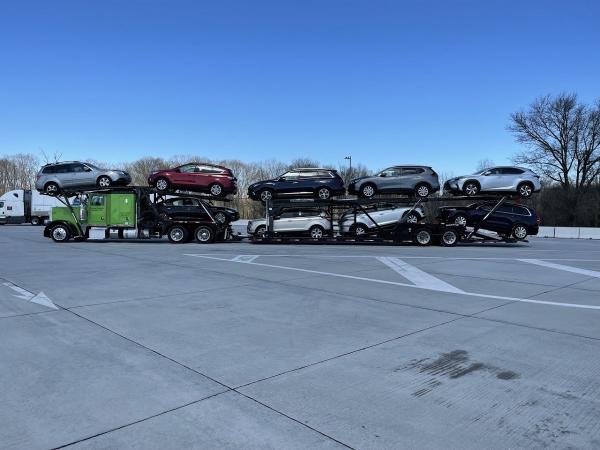 Trans Motor Group LLC
