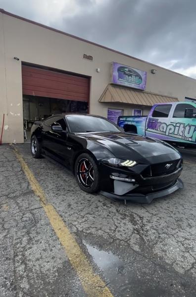 BF Tints