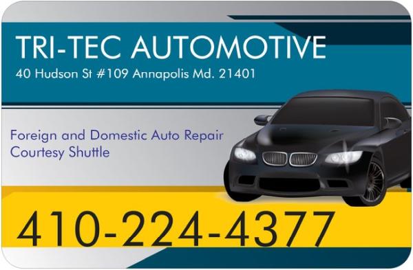 Tri Tec Automotive Inc