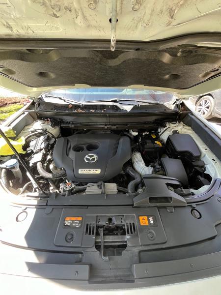 Reviveride Mobile Detailing