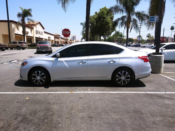 Tint Guys