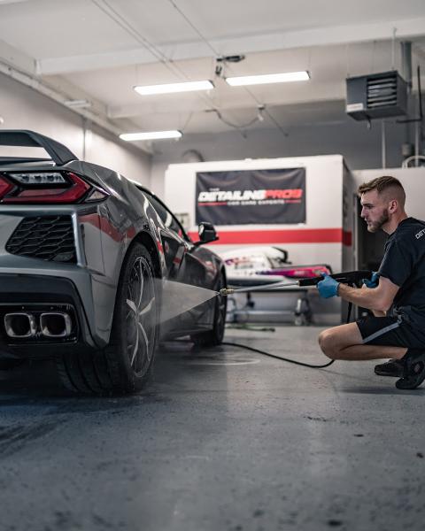 The Detailing Pros Reno