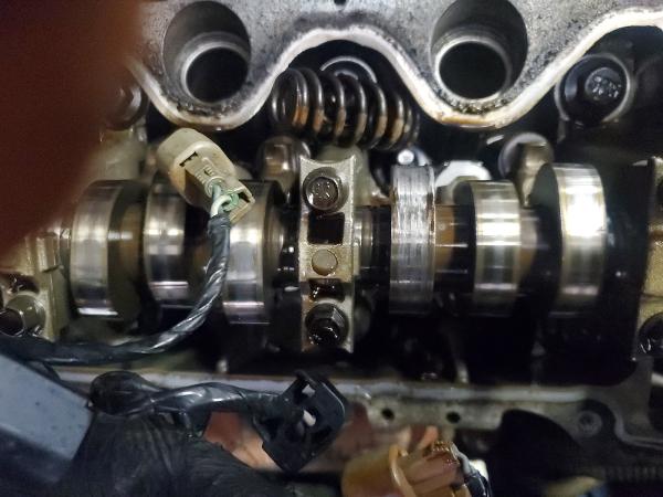 American Euro Automotive