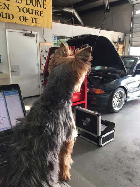 Woodard's Automotive Maintenance & Repair Center