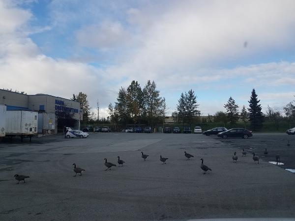 Napa Distribution Center